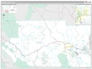Fremont County, CO <br /> Wall Map <br /> Premium Style 2024 Map