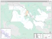 Pitkin County, CO <br /> Wall Map <br /> Premium Style 2024 Map