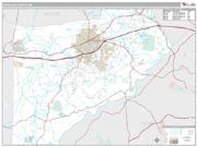 Douglas County, GA <br /> Wall Map <br /> Premium Style 2024 Map