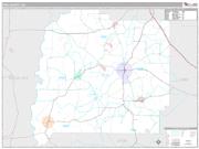 Pike County, GA <br /> Wall Map <br /> Premium Style 2024 Map