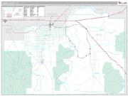 Cassia County, ID <br /> Wall Map <br /> Premium Style 2024 Map