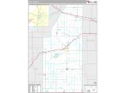 Piatt County, IL <br /> Wall Map <br /> Premium Style 2024 Map