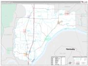 Pulaski County, IL <br /> Wall Map <br /> Premium Style 2024 Map