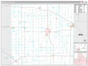 Randolph County, IN <br /> Wall Map <br /> Premium Style 2024 Map