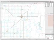 Ellsworth County, KS <br /> Wall Map <br /> Premium Style 2024 Map