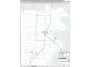 Pemiscot County, MO <br /> Wall Map <br /> Premium Style 2024 Map