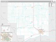 Platte County, NE <br /> Wall Map <br /> Premium Style 2024 Map