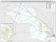 Dorchester County, SC <br /> Wall Map <br /> Premium Style 2024 Map