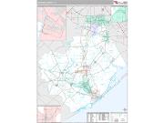 Brazoria County, TX <br /> Wall Map <br /> Premium Style 2024 Map