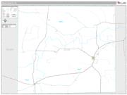 Irion County, TX <br /> Wall Map <br /> Premium Style 2024 Map