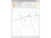 Mitchell County, TX <br /> Wall Map <br /> Premium Style 2024 Map