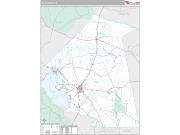 Polk County, TX <br /> Wall Map <br /> Premium Style 2024 Map