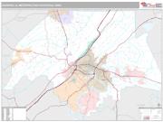 Gadsden Metro Area <br /> Wall Map <br /> Premium Style 2024 Map