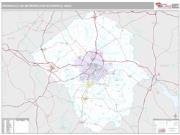 Greenville Metro Area <br /> Wall Map <br /> Premium Style 2024 Map