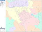 Pleasanton <br /> Wall Map <br /> Color Cast Style 2024 Map