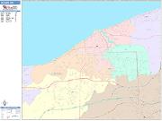 Lorain <br /> Wall Map <br /> Color Cast Style 2024 Map