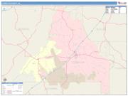 Conecuh <br /> Wall Map <br /> Color Cast Style 2024 Map