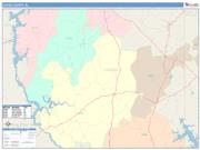 Coosa <br /> Wall Map <br /> Color Cast Style 2024 Map
