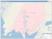 Dillingham <br /> Wall Map <br /> Color Cast Style 2024 Map