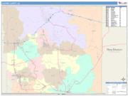 Cochise <br /> Wall Map <br /> Color Cast Style 2024 Map