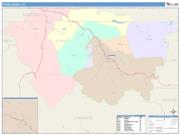 Pitkin <br /> Wall Map <br /> Color Cast Style 2024 Map