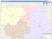 Calhoun <br /> Wall Map <br /> Color Cast Style 2024 Map