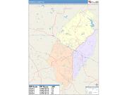 Rockdale <br /> Wall Map <br /> Color Cast Style 2024 Map