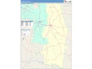 Toombs <br /> Wall Map <br /> Color Cast Style 2024 Map