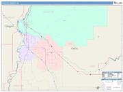 Payette <br /> Wall Map <br /> Color Cast Style 2024 Map