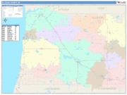 Allegan <br /> Wall Map <br /> Color Cast Style 2024 Map