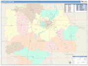 Saginaw <br /> Wall Map <br /> Color Cast Style 2024 Map