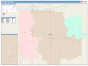 Kearney <br /> Wall Map <br /> Color Cast Style 2024 Map