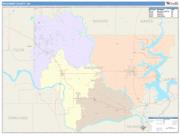 Wagoner <br /> Wall Map <br /> Color Cast Style 2024 Map