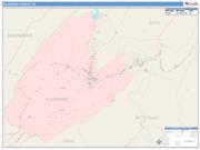 Alleghany <br /> Wall Map <br /> Color Cast Style 2024 Map