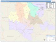 Dinwiddie <br /> Wall Map <br /> Color Cast Style 2024 Map