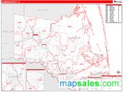 Cameron County, TX <br /> Wall Map <br /> Zip Code <br /> Red Line Style 2024 Map