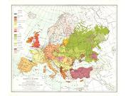Races of Europe 1918 <br /> Wall Map Map