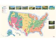 US Vegetation <br /> Wall Map Map