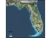 Florida Satellite Wall Map