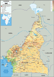 Cameroon Physical Wall Map