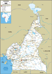 Cameroon Road Wall Map