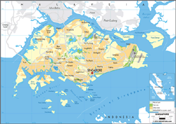 Singapore Physical Wall Map