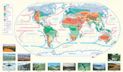 World Climate Wall Map