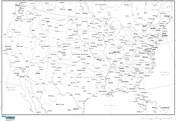 United States Political Wall Map (Grayscale)