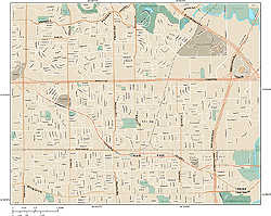 Irving Central Wall Map