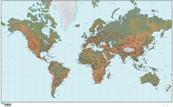 Relief World Mercator Wall Map