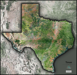 Texas Satellite Wall Map