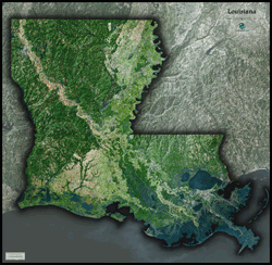 Louisiana Satellite Wall Map